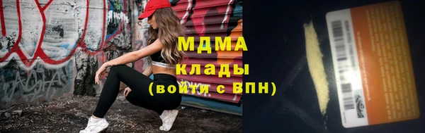 прущие грибы Медногорск