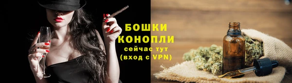 прущие грибы Медногорск