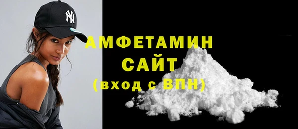 прущие грибы Медногорск