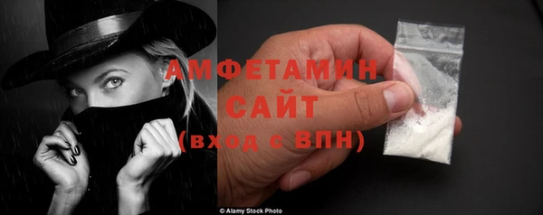 прущие грибы Медногорск