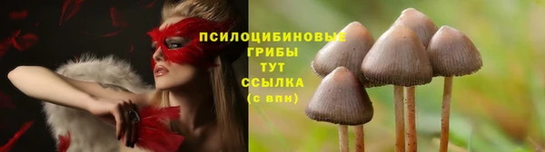 молекула духа Медвежьегорск