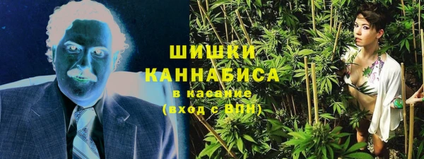 прущие грибы Медногорск