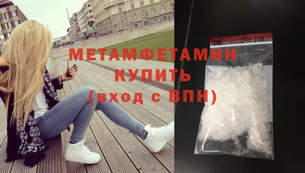 прущие грибы Медногорск