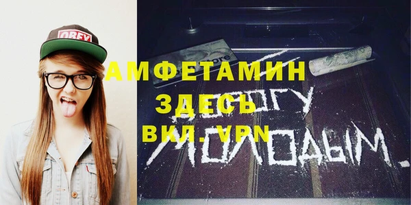 молекула духа Медвежьегорск