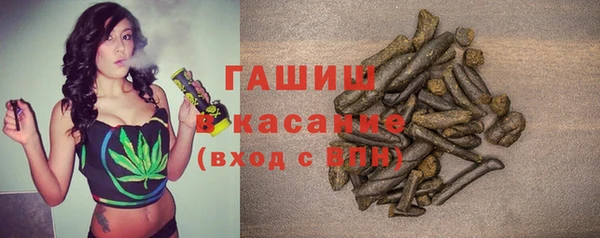 прущие грибы Медногорск