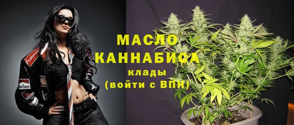 молекула духа Медвежьегорск