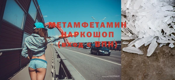 прущие грибы Медногорск