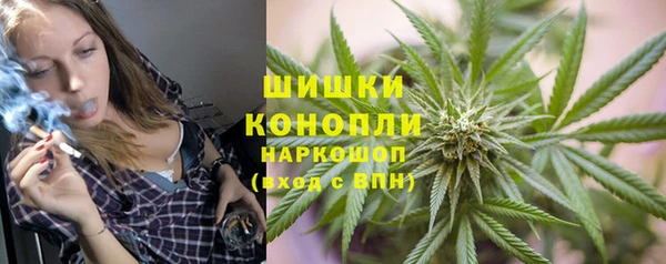 молекула духа Медвежьегорск
