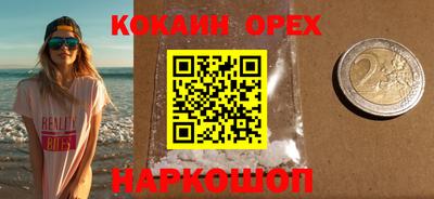 гашик Донской