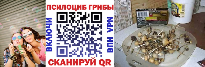 Галлюциногенные грибы GOLDEN TEACHER Мариинск