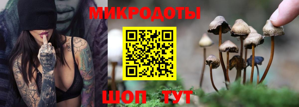 Галлюциногенные грибы Psilocybine cubensis  Псилоцибиновые грибы Psilocybine cubensis  Вход с VPN  Мариинск 