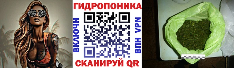 Бошки марихуана OG Kush  Мариинск 